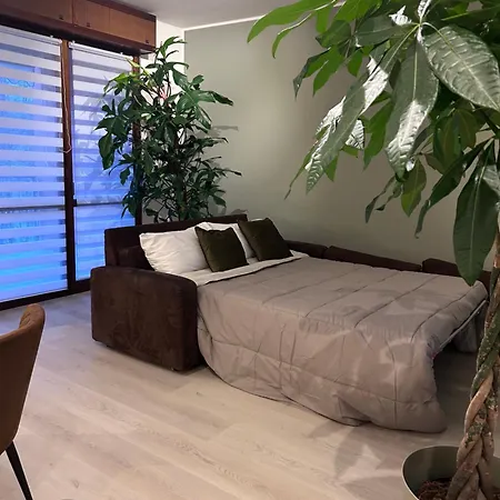 Amazzonia Casa * Verona