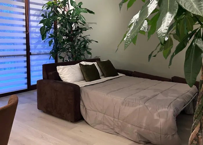Amazzonia Casa * Verona